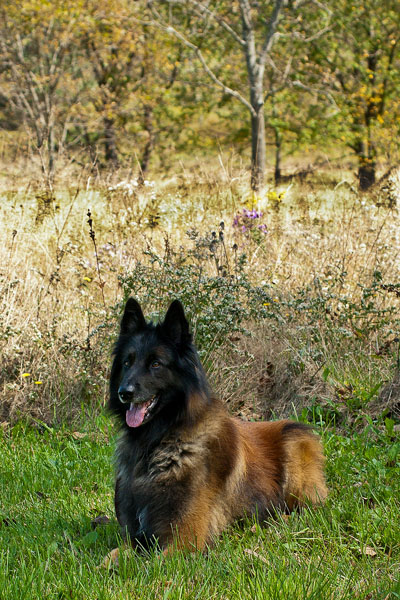 Radar laying down